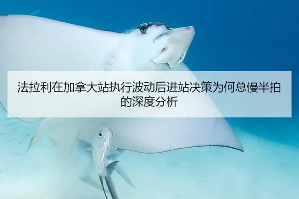 法拉利在加拿大站执行波动后进站决策为何总慢半拍的深度分析