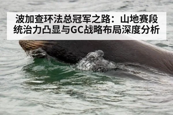 波加查环法总冠军之路：山地赛段统治力凸显与GC战略布局深度分析