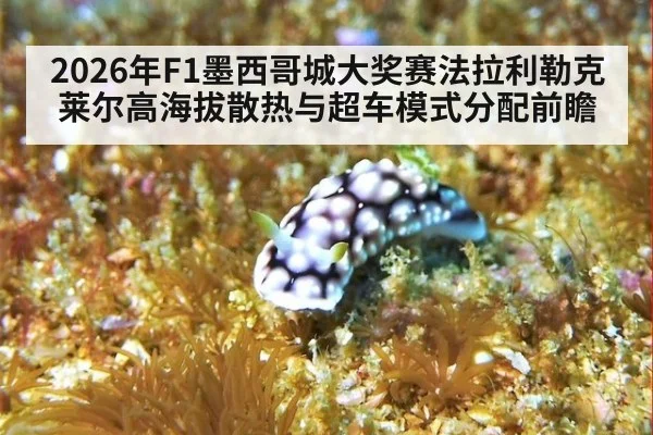 2026年F1墨西哥城大奖赛法拉利勒克莱尔高海拔散热与超车模式分配前瞻